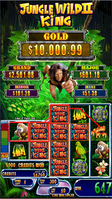 Yetenek Meydan Oyunu Jungle Wild II Kral Oyun Odası Makine için